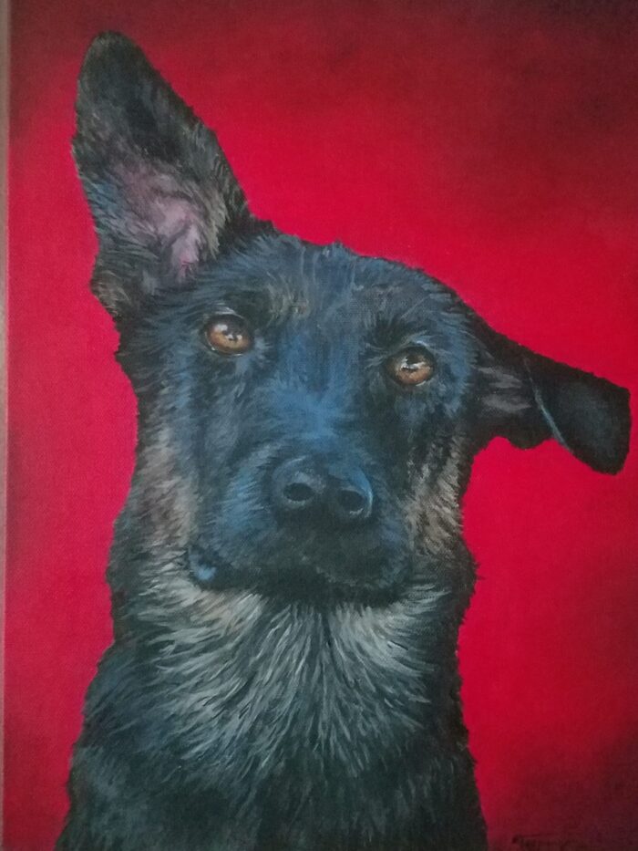 Pet Portrait